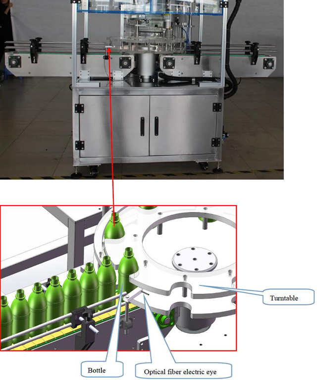 Penderia mata botol.jpg