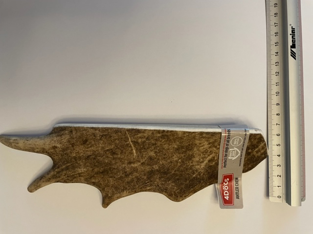 Rusa fallow lebar XXL 4-7cm.jpg